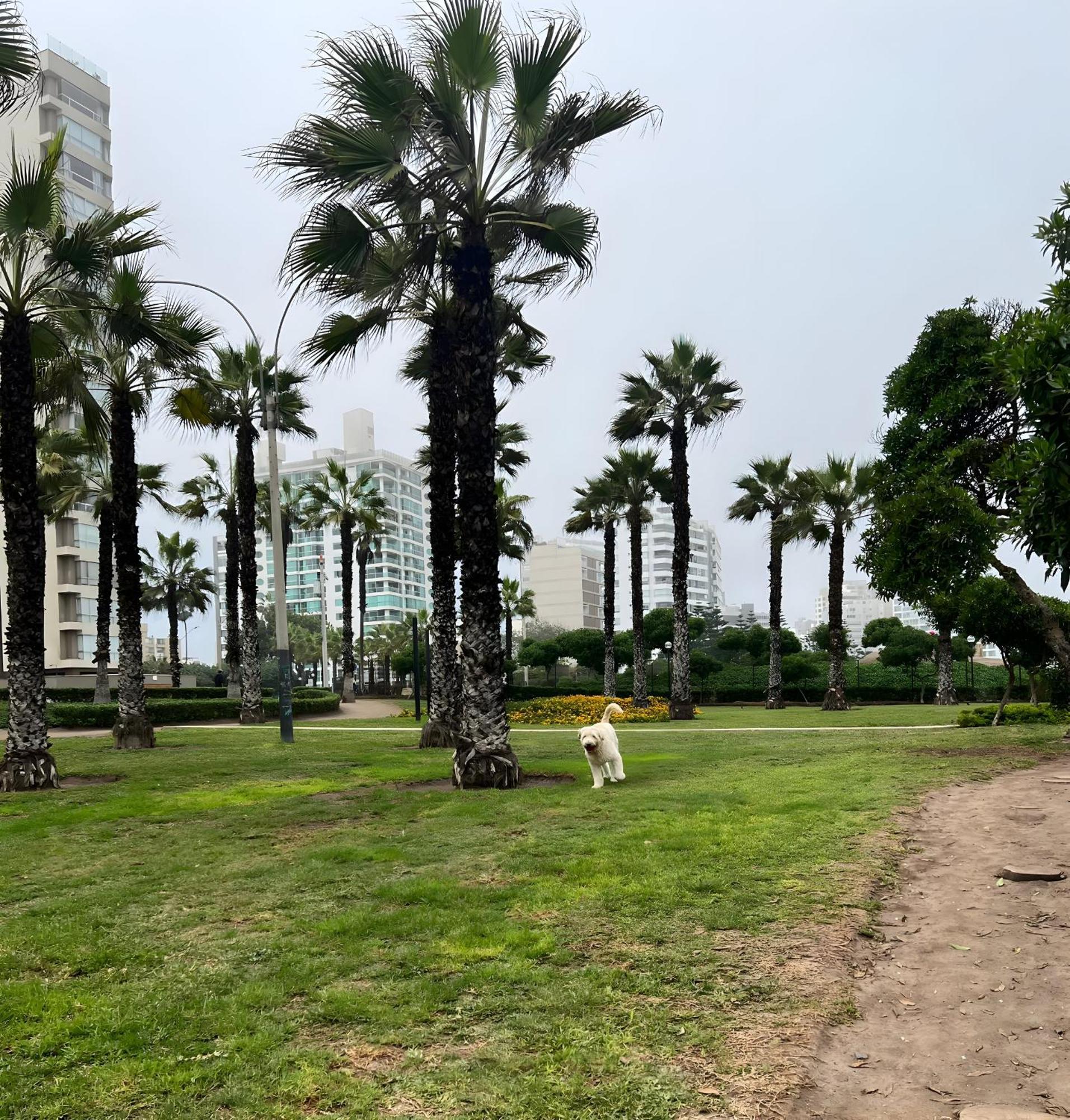 Modern 1Br Loft Close To The Seawalk Of Miraflores Лима Екстериор снимка